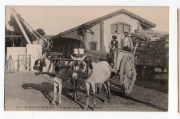 MONT DE MARSAN * LANDES * ATTELAGE LANDAIS * CHEVAUX * Carte N° 51 * ND Phot. - Mont De Marsan