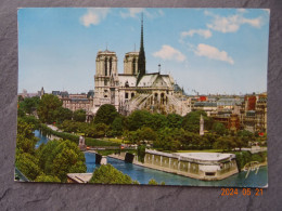 DANS L'ILE DE LA CITE - Notre Dame De Paris