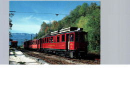 Le Train "grand Spectacle" Des Alpes Française - Trains