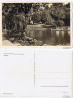 Ansichtskarte Timmendorfer Strand Kurpark - Foto Ak 1940 - Autres & Non Classés