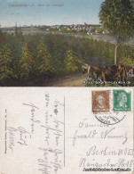Ansichtskarte Hohegeiß-Braunlage Blick Auf Hohegeiß 1927 - Braunlage