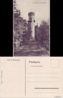 Ansichtskarte Ilmenau Aussichtsturm Auf Dem Kickelhahn 1920 - Ilmenau