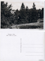 Ansichtskarte Oberhof (Thüringen) Partie Im Kurpark 1939 - Oberhof
