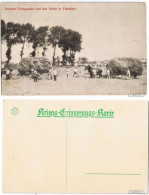 Ansichtskarte  Unsere Feldgrauen Bei Der Ernte In Flandern - WK I 1916 - Guerre 1914-18