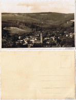 Eichwald (Erzgebirge) Dubí Totalansicht - Foto Ansichtskarte 1930  - Tchéquie