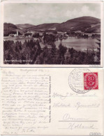 Ansichtskarte Titisee-Neustadt Panorama Mit Titisee 1953 - Titisee-Neustadt