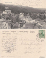 Ansichtskarte Elgersburg Panorama Mit Fachwerkhäusern 1905 - Elgersburg