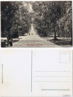 Ansichtskarte Bad Eilsen Haarl-Allee 1915 - Autres & Non Classés