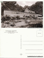 Ansichtskarte Bistensee-Ahlefeld-Bistensee Waldgasthaus Baumgarten 1970 - Autres & Non Classés