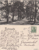 Ansichtskarte Baden-Baden Lichtenthaler Allee 1914 - Baden-Baden