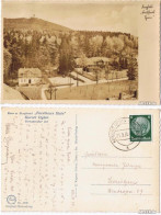 Hain-Oybin "Forsthaus Hain" Kur Und Berghotel -Foto AK 1935 - Oybin