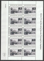 Nederland NVPH 2751 Vel Persoonlijke Zegels 70 Jaar Diemen Bevrijd 2015 MNH Postfris - Personalisierte Briefmarken