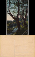 Ansichtskarte  Bäume Am Bach 1916 - Zonder Classificatie