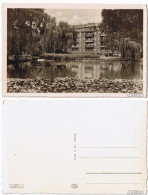 Ansichtskarte Offenbach (Main) Weiher Am Friedrichsring Ca. 1935 1935  - Offenbach