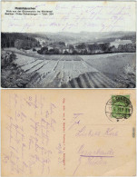 Ansichtskarte Hetzdorf-Halsbrücke Rosinhäuschen - Blick In Das Tal 1923  - Hetzdorf