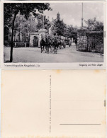 Königsbrück Kinspork Truppenübungsplatz - B Ottendorf Okrilla  1932 - Koenigsbrueck