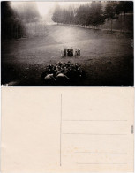 Ansichtskarte  Gruppe Im Wald 1928  - Te Identificeren