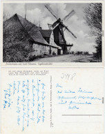 Lemkenhafen Burg (Fehmarn) Segelwindmühle Ansichtskarte Ostholstein Kiel 1940 - Autres & Non Classés
