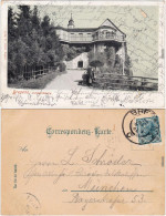 Ansichtskarte Bregenz Gebhardsweg 1905  - Andere & Zonder Classificatie