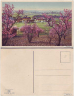 Ansichtskarte  Ortschaft Frühlingsblüte Stimmungsbild  - Zu Identifizieren