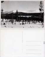 Ansichtskarte  Berg Und Waldlandschaft Im Winter 1930 Privatfoto - A Identifier
