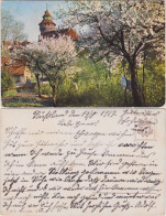 Ansichtskarte Nürnberg Sinwellturm Auf Der Kaiserburg Kirschbäumen 1917 - Nuernberg