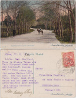 Postcard Colón-Montevideo Avenida En Colón/Straßenpartie Reiter 1910 - Uruguay