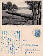 Ansichtskarte Zechlinerhütte-Rheinsberg Partie Am Schlabornsee 1955 - Zechlinerhütte