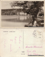 Wodnian Vodňany Ansicht Mit See 1955 - Tchéquie