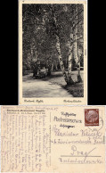 Ansichtskarte Steglitz-Berlin Stadtpark 1935  - Steglitz