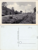 Ansichtskarte Fulkum-Holtgast Bahnhof - Eisenbahnstrecke 1960  - Autres & Non Classés