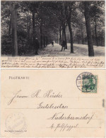 Ansichtskarte Bautzen Budyšin Promenade Am Evangelischen Seminar 1906  - Bautzen