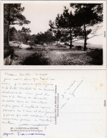 Saint-Georges-de-Didonne Les Petites Dunes De La Forêt De Suzac 1940 - Autres & Non Classés