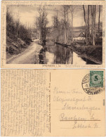 Neusalza-Spremberg Nowosólc Flußpartie - Brücke Und Stadt 1924  - Neusalza-Spremberg