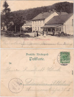 Hirschsprung Altenberg (Erzgebirge) Partie An Der Ladenmühle 1898 - Altenberg