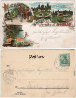 Rohnau Reichenau In Sachsen Trzciniec Bogatynia Litho Forsthaus B Zittau  1903 - Pologne