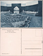 Ansichtskarte Dresden Gartenbauausstellung  - Aus Der Ersten Blumenschau 1926 - Dresden
