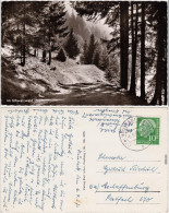 Feldweg Im Schwarzwald Stempel Neustadt 1957 - Autres & Non Classés