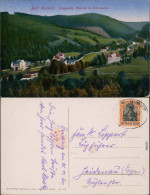 Bad Reinerz Duszniki-Zdrój Panorama-Ansicht: Eingang Ins Schmelzetal 1920 - Polen