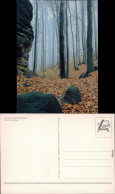Schmilka Großer Winterberg Ansichtskarte Xx  1990 - Schmilka