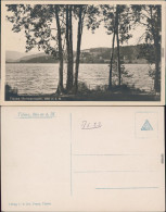 Titisee Blick über Dn Titi-See Foto Ansichtskarte 1922 - Autres & Non Classés