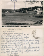 Schellerhau Altenberg (Erzgebirge) Partie Im Ort Fotokarte 1950 - Schellerhau