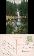 Altschmecks-Vysoké Tatry Starý Smokovec | Ótátrafüred    - Brücke 1906 - Slowakei