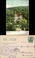 Ansichtskarte Meißen Waldschößchen Mit Stadtpark 1906  - Meissen
