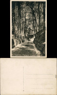 Ansichtskarte Küssnacht Am Rigi Hohle Gasse Und Tellskapelle 1930  - Other & Unclassified