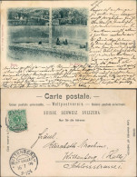 Ansichtskarte Bern Bären Im Bärenzwinger 1899  - Andere & Zonder Classificatie
