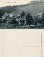 Ansichtskarte Hirschsprung-Altenberg (Erzgebirge) Partie In Der Stadt 1914  - Altenberg