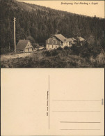 Ansichtskarte Hirschsprung-Altenberg (Erzgebirge) Partie An Der Stadt 1914  - Altenberg