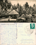 Ansichtskarte Buckow (Märkische Schweiz) Pavillon Im Wald 1961 - Buckow
