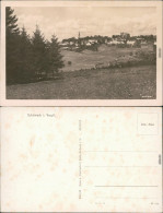 Ansichtskarte Schöneck (Vogtland) Panorama-Ansicht 1954 - Autres & Non Classés
